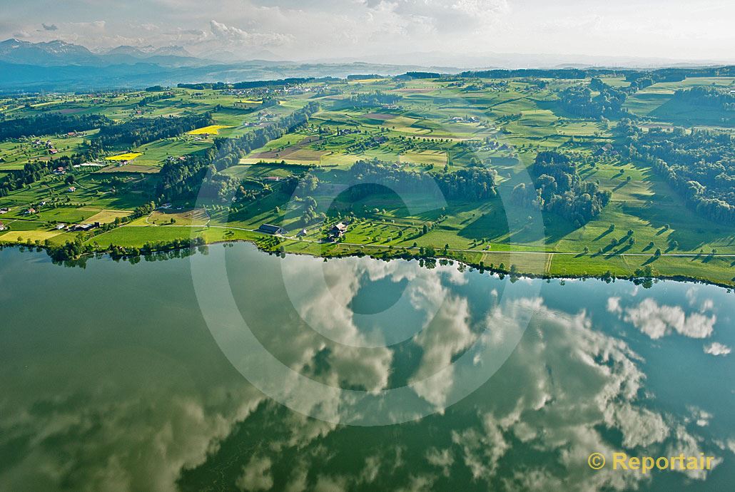 Foto: Wolken spiegeln sich im  Baldeggersee.. (Luftaufnahme von Niklaus Wächter)